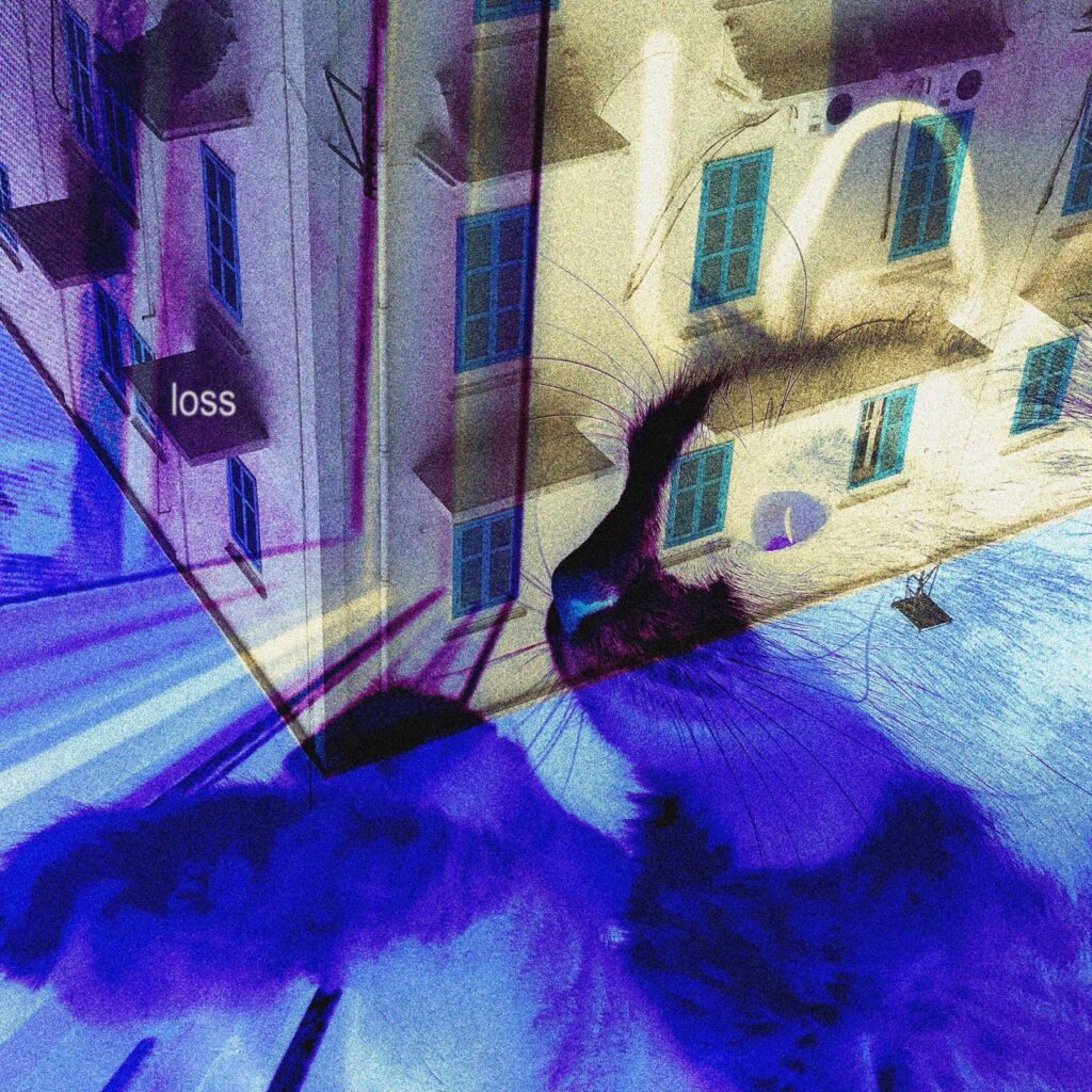 loss Large