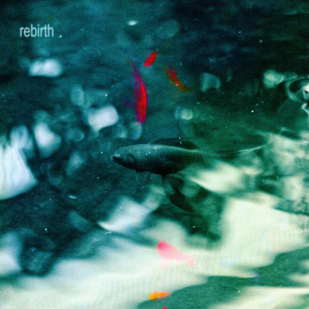 rebirth